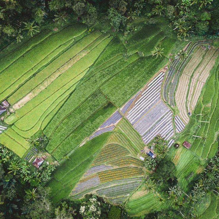 Family terraces and cafés for calm evenings in Barcelona